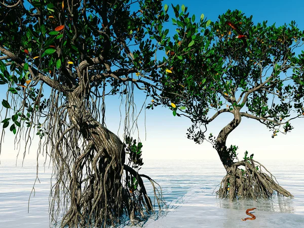 Mangroves rouges sur la côte de Floride rendu 3d — Photo