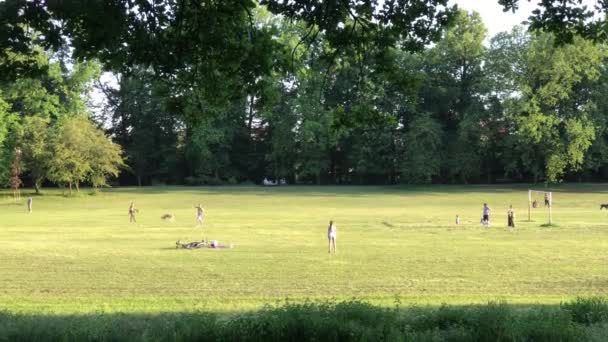 Orang-orang menikmati hari yang cerah di rumput — Stok Video