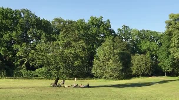 Menschen genießen sonnigen Tag auf dem Rasen — Stockvideo