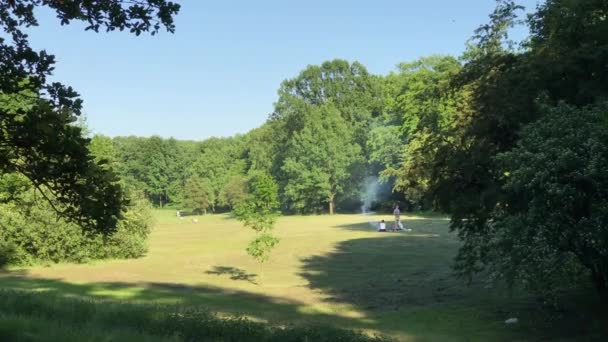 Mensen genieten van de zonnige dag op het gras — Stockvideo