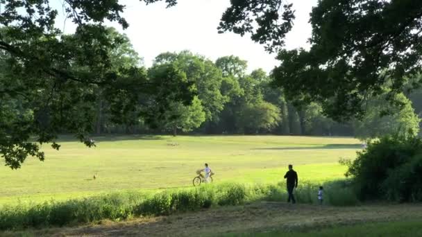 人们在草地上享受阳光明媚的日子 — 图库视频影像