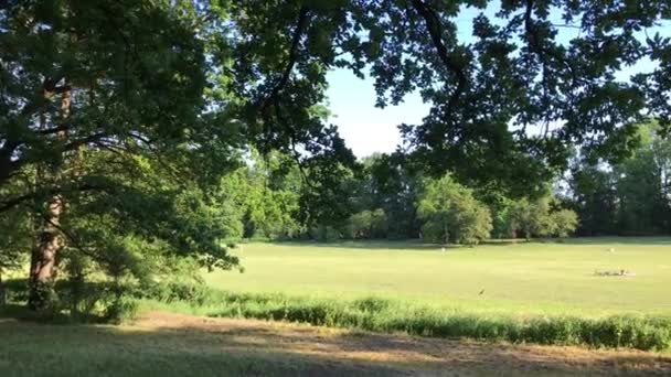 Les gens profitent d'une journée ensoleillée sur l'herbe — Video