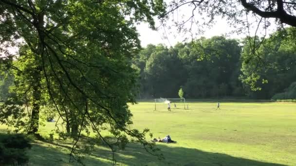 La gente che si gode la giornata di sole sull'erba — Video Stock