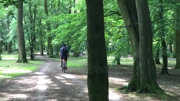 Středního věku muž na koni na kole v parku — Stock video