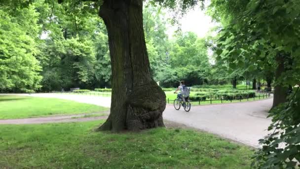 Frau auf Fahrrad unterwegs — Stockvideo