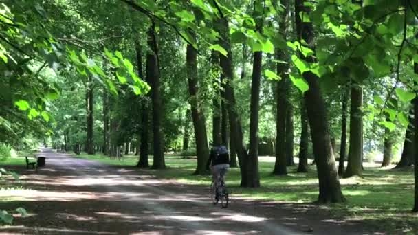 Молодой человек едет на велосипеде в парке — стоковое видео