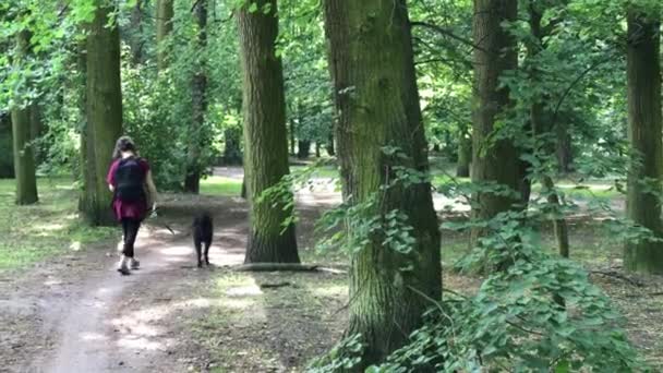 Jonge aantrekkelijke vrouw lopen met haar hond in het park — Stockvideo