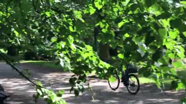 Środku wieku człowieka, jazda na rowerze w parku — Wideo stockowe