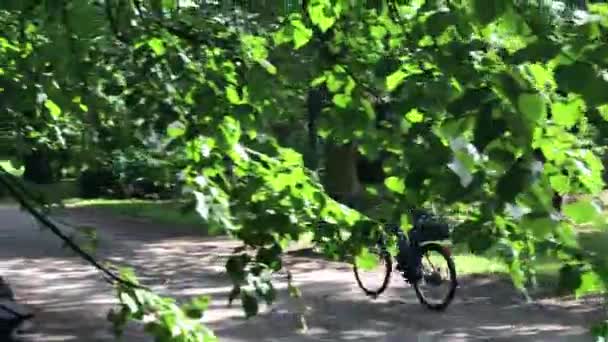 středního věku muž na koni na kole v parku