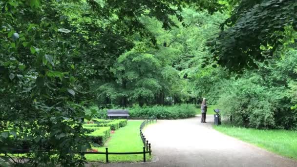Äldre par som njuter av promenader i parken sommaren — Stockvideo