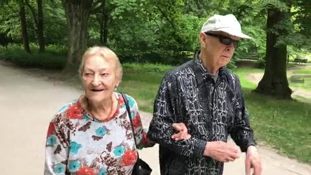 Pasangan senior menikmati berjalan-jalan di musim panas Park — Stok Video