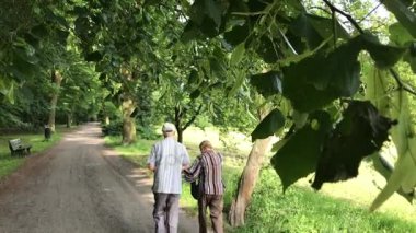 Üst düzey iki yaz parkta yürüyüş zevk