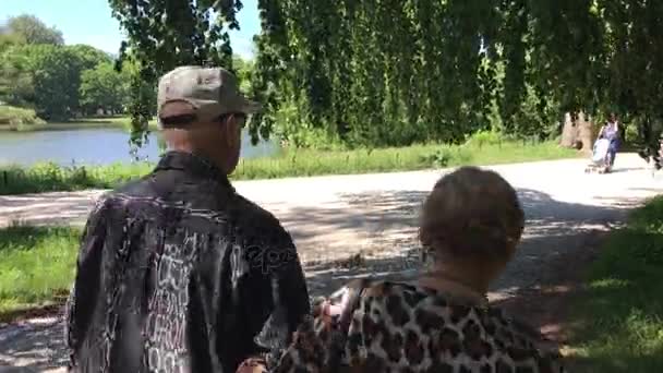 Ανώτερος ζευγάρι που απολαμβάνουν το περπάτημα στο πάρκο καλοκαίρι — Αρχείο Βίντεο