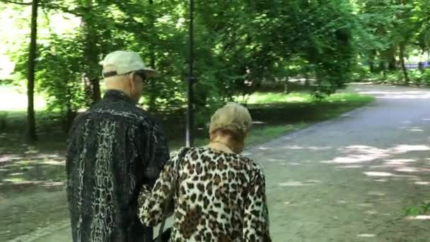 Seniorenpaar genießt Spaziergänge im Sommerpark — Stockvideo