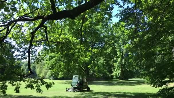 Seasonal works in the public park in the city of Wroclaw in Poland — Stock Video