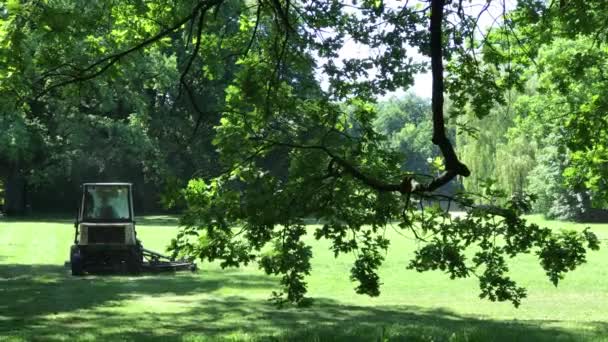 Saisonarbeiten im öffentlichen Park der Stadt Breslau in Polen — Stockvideo