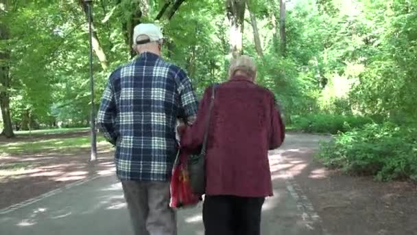 Äldre par som njuter av promenader i parken sommaren — Stockvideo