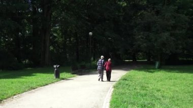Üst düzey iki yaz parkta yürüyüş zevk
