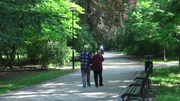 Starší pár, kteří požívají, procházky v parku letní — Stock video