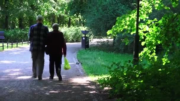 Couple sénior profitant de la marche dans le parc d'été — Video