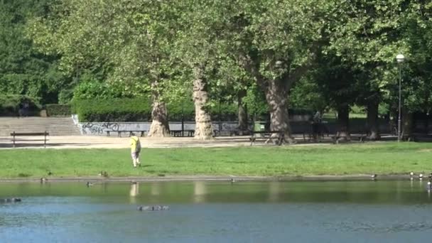 Молодой человек едет на велосипеде в парке — стоковое видео