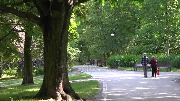 夏の公園でウォーキングを楽しんでいるシニア カップル — ストック動画