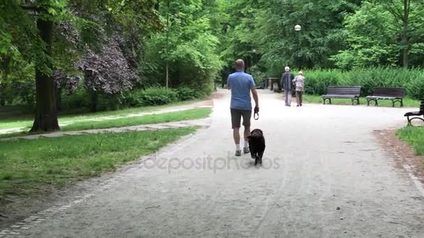 Старша пара насолоджується прогулянкою в літньому парку — стокове відео