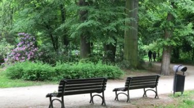 Üst düzey iki yaz parkta yürüyüş zevk