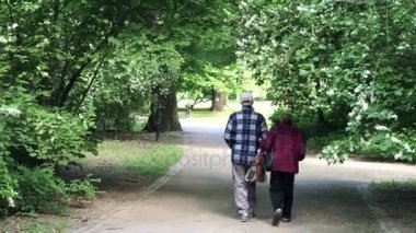 Üst düzey iki yaz parkta yürüyüş zevk