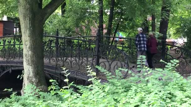 Casal sênior desfrutando de caminhar no parque de verão — Vídeo de Stock