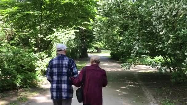 年长的夫妇享受夏天公园散步 — 图库视频影像
