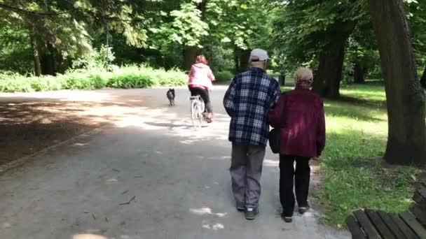 Pareja mayor disfrutando paseando en el parque de verano — Vídeo de stock
