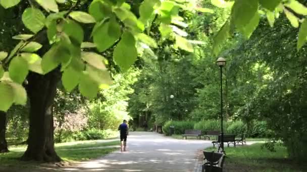 Senior para cieszyć spacery w parku lato — Wideo stockowe