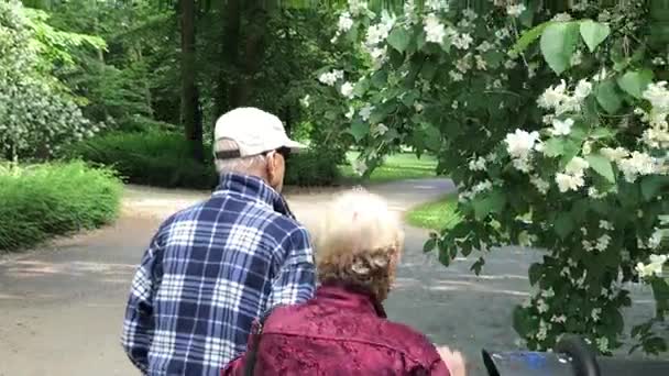 Coppia anziana che ama passeggiare nel parco estivo — Video Stock