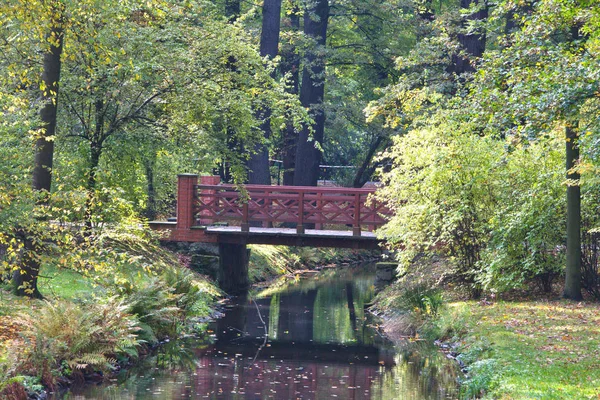 Most w ogród japoński w czasie upadku — Zdjęcie stockowe
