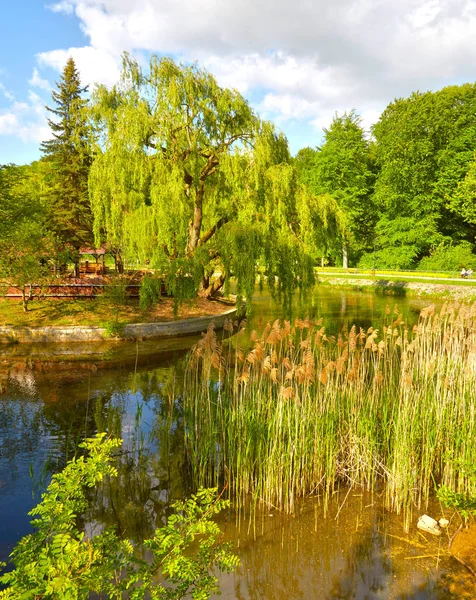 Hermoso paisaje en el sur de Polonia cerca de Trzebnica —  Fotos de Stock