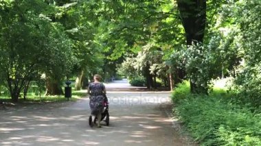 Polonya Wroclaw Şehir Parkı zamanında rekreasyon