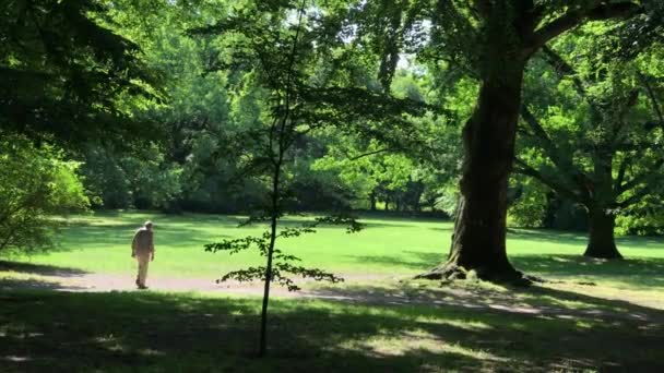 Tiempo libre en el parque público en Polonia en la ciudad de Wroclaw — Vídeo de stock