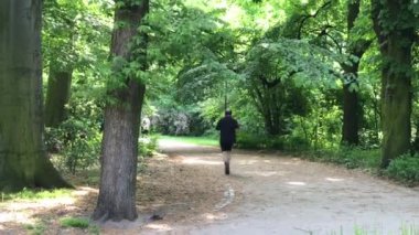 Polonya Wroclaw Şehir Parkı zamanında rekreasyon