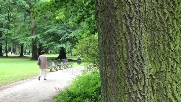 Rekreasjonstid i den offentlige parken i Polen i byen Wroclaw – stockvideo
