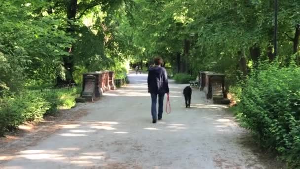 Отдых в общественном парке в Польше во Вроцлаве — стоковое видео