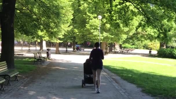 Отдых в общественном парке в Польше во Вроцлаве — стоковое видео