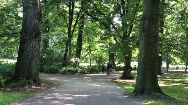 Recreation time in the public park in Poland in the city of Wroclaw — Stock Video