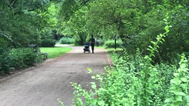 Rekreation tid i den offentliga parken i staden av Wroclaw i Polen — Stockvideo