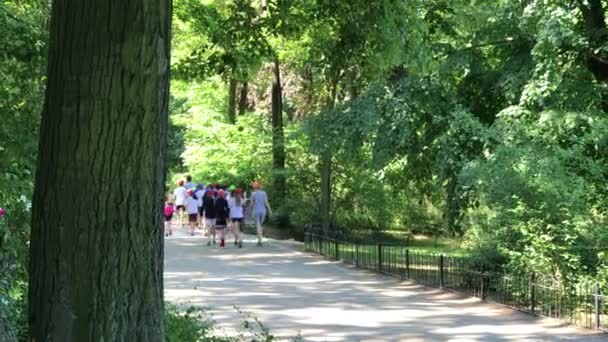 Szabadidő ideje a nyilvános parkban Lengyelországban, city Wroclaw — Stock videók