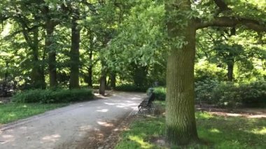 Polonya Wroclaw Şehir Parkı zamanında rekreasyon