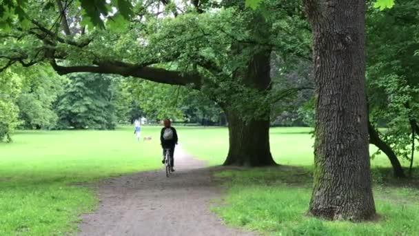 Szabadidő ideje a nyilvános parkban Lengyelországban, city Wroclaw — Stock videók