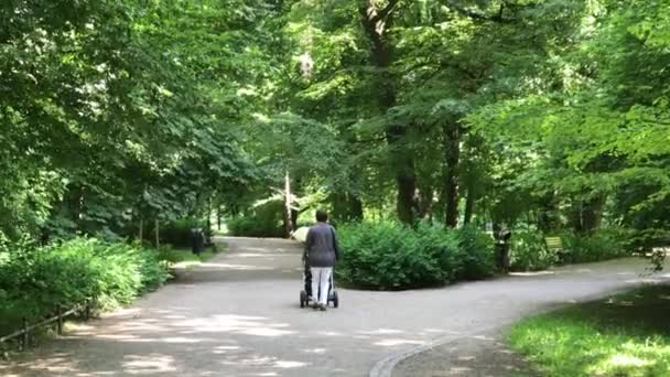 Temps de loisirs dans le parc public en Pologne dans la ville de Wroclaw — Video