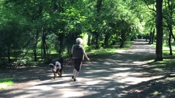 Ο χρόνος στο δημόσιο πάρκο στην Πολωνία της πόλης του Βρότσλαβ — Αρχείο Βίντεο