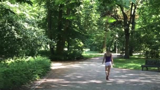 在波兰的弗罗茨瓦夫市公园向公众开放的娱乐时间 — 图库视频影像